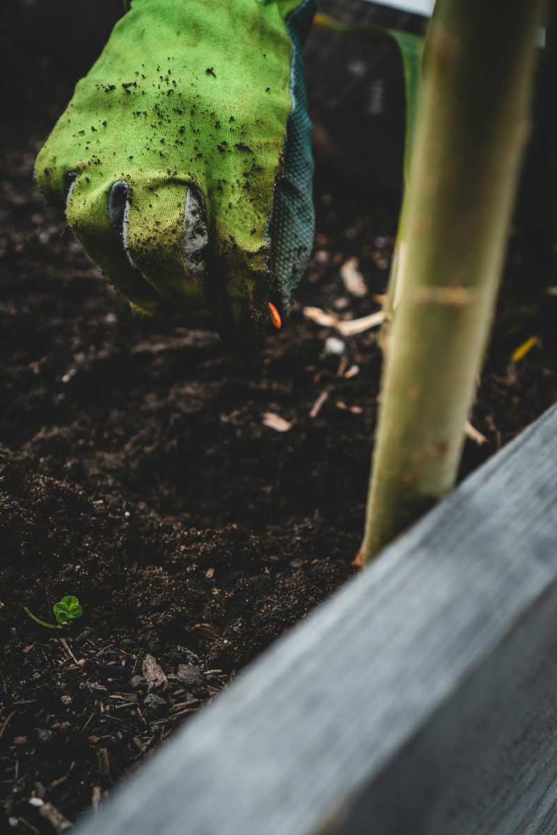 Weed spraying, herbicide spraying